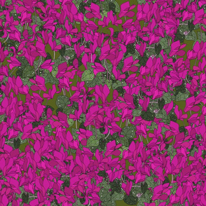 Cyclamen on dark moss