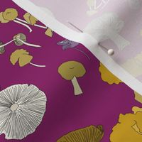 Fungi on magenta