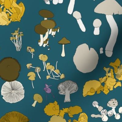 Fungi on dark turquoise