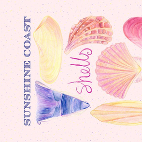 Sunshine Coast Shells tea towel