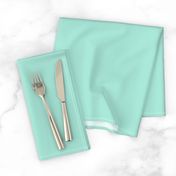 Summer Mint Turquoise - Solid Plain 