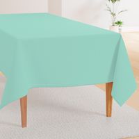 Summer Mint Turquoise - Solid Plain 