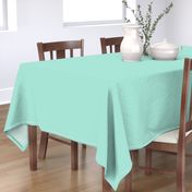 Summer Mint Turquoise - Solid Plain 