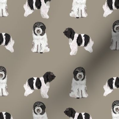 schapendoes fabric - dutch sheepdog fabric, dog fabric, dog breeds fabric - khaki