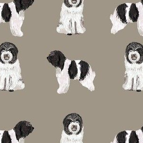 schapendoes fabric - dutch sheepdog fabric, dog fabric, dog breeds fabric - khaki