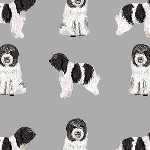 schapendoes fabric - dutch sheepdog fabric, dog fabric, dog breeds fabric - grey