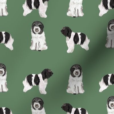 schapendoes fabric - dutch sheepdog fabric, dog fabric, dog breeds fabric - green