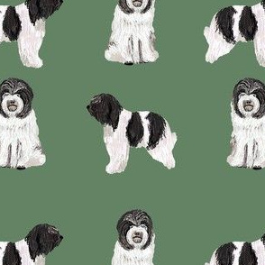 schapendoes fabric - dutch sheepdog fabric, dog fabric, dog breeds fabric - green