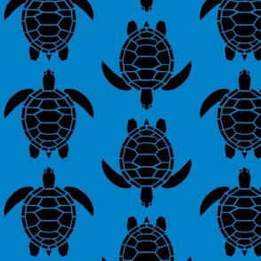 Three Inch Black Turtles on Turquoise Blue