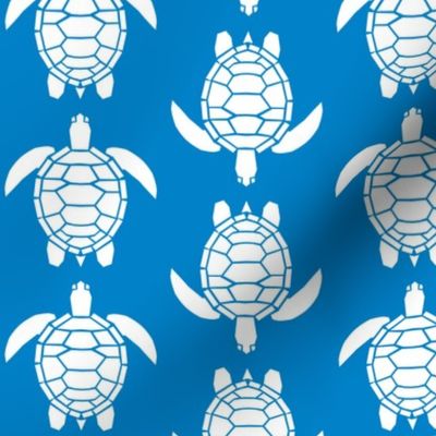 Three Inch White Turtles on Turquoise Blue