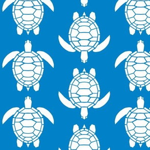 Three Inch White Turtles on Turquoise Blue