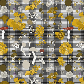 Fungi on plaid