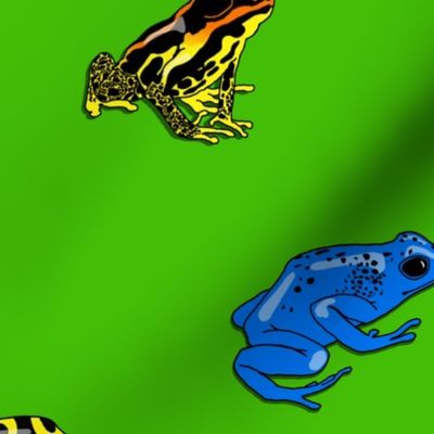 poison frogs on green