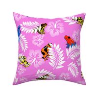 hawaiian frogs on pink