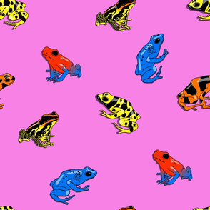 poison frogs on pink