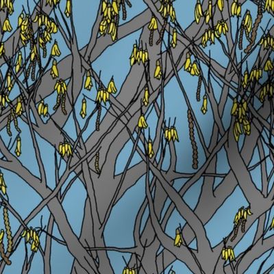 Kowhai tree on dinosaur blue