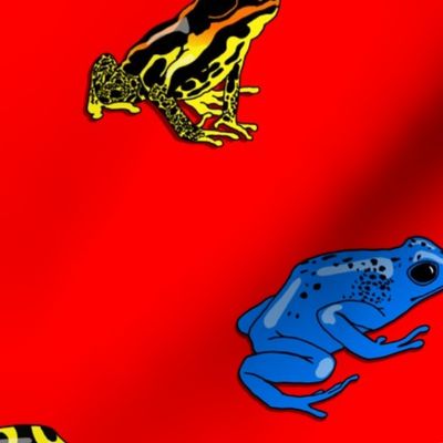 poison frogs on red