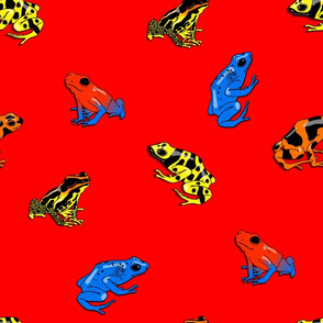 poison frogs on red