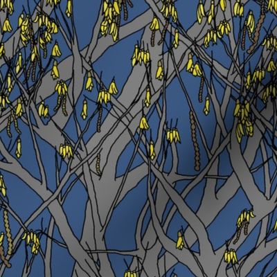 Kowhai tree on mid blue