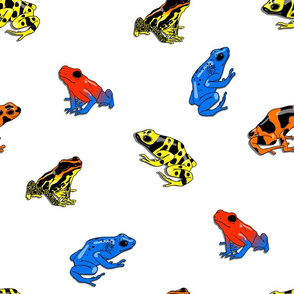 poison frogs on white