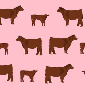 red angus fabric - angus cattle, angus fabric, cow fabric, cattle fabric - pink