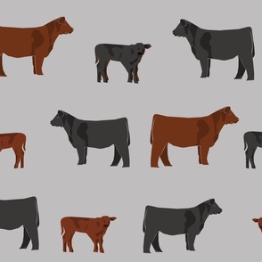 black and red angus cow fabric - cattle fabric, cow fabric, angus fabric - grey