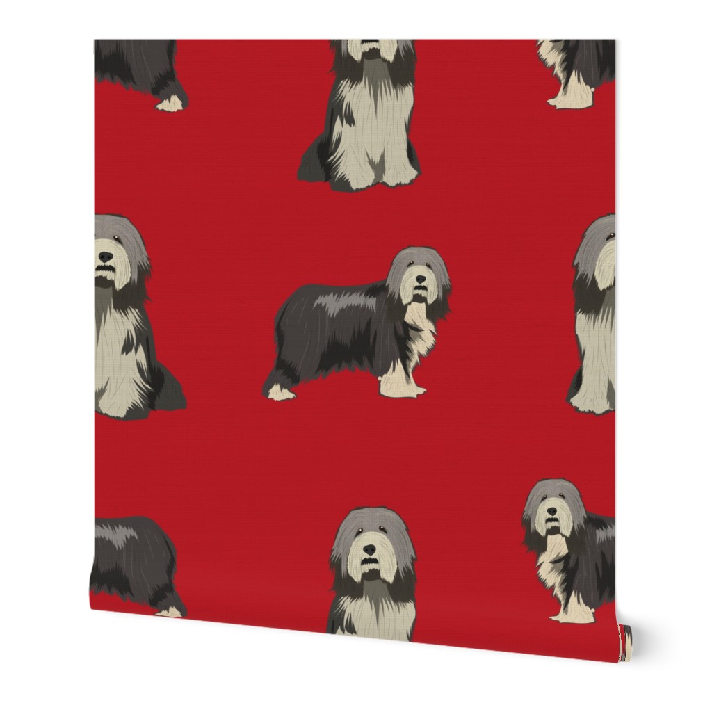 bearded collie fabric - black bearded collie, dog fabric, - red