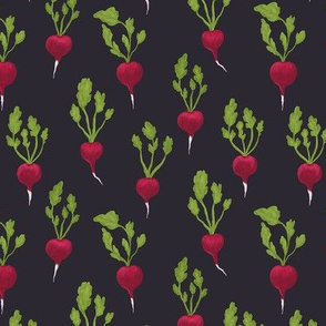 Radish on Dark Grey - Small