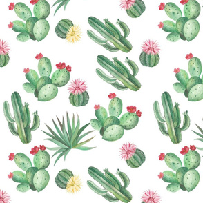 Seamless pattern with Desert and house plant cactuses. Watercolor illustration