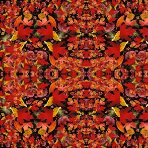Kaleidoscope Red Leaves 