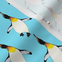 Dancing King Penguin on light blue