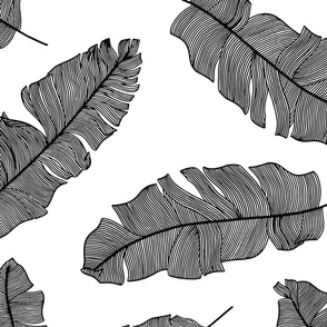 large tropical banana palm leaves - monochrome crisp black and white