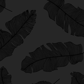 large tropical banana palm leaves - moody monochrome charcoal black