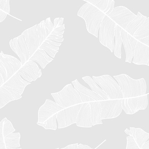 large tropical banana palm leaves - silver platinum gray and crisp white