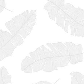 large tropical banana palm leaves - crisp white and silver platinum gray