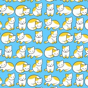 Cat Pattern Blue