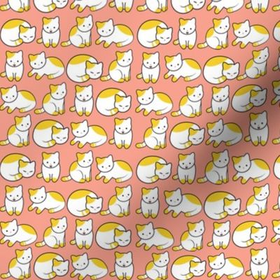 Cat Pattern Pink