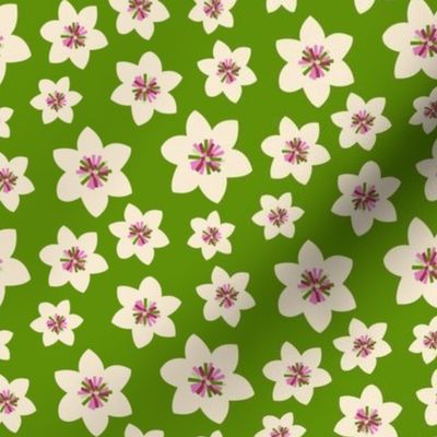 Small scale • Boho flower - green background