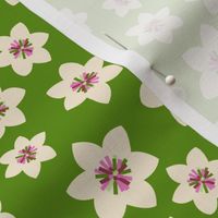 Small scale • Boho flower - green background