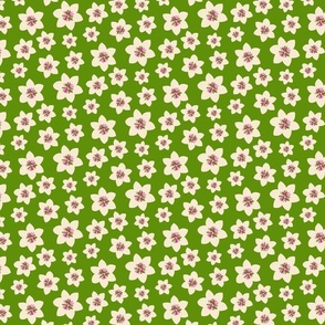 Small scale • Boho flower - green background