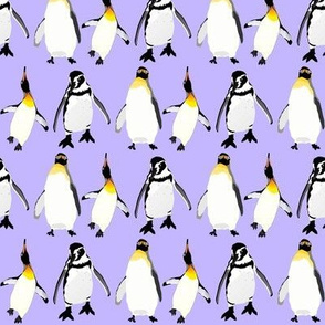 3 penguins on purple