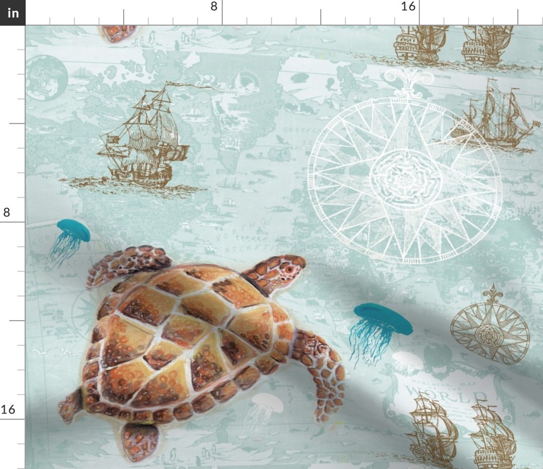 Sea Turtle Map