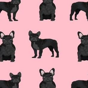 black frenchie fabric - black french bulldog, black dog, french bulldog fabric, frenchie fabric - pink