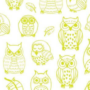 yellow-green owls