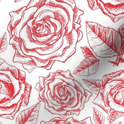 Macro Roses Engraving Drawings