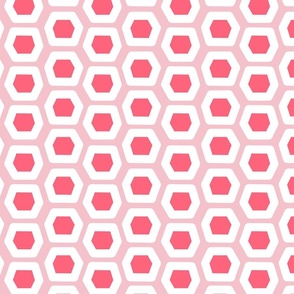 Pillow Hex in Pinks