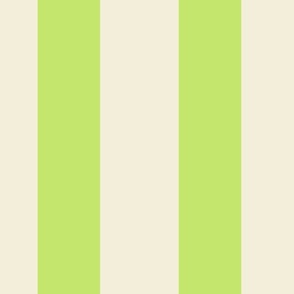 Cabana Stripe in Bright Lime/Natural