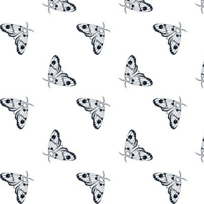 Moths White Background