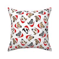 Greyhounds with Santa hats - white - Christmas greyhounds - Santa's helper - LAD19