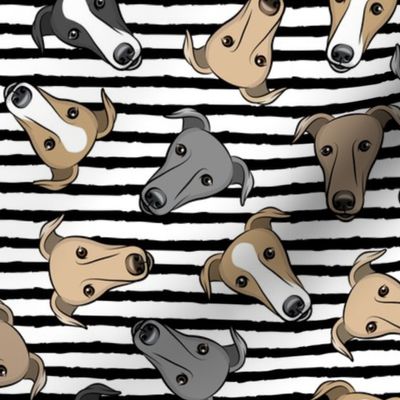 greyhounds - black stripes  - greyhound dog breed face - LAD19